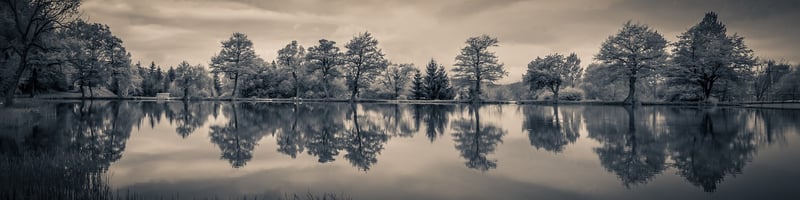 Lakeside Starlight