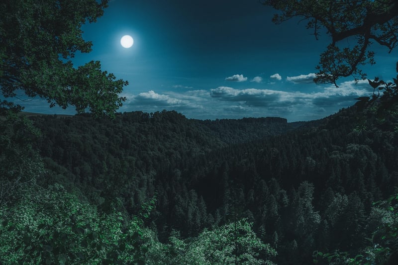 Moon in the Night Sky