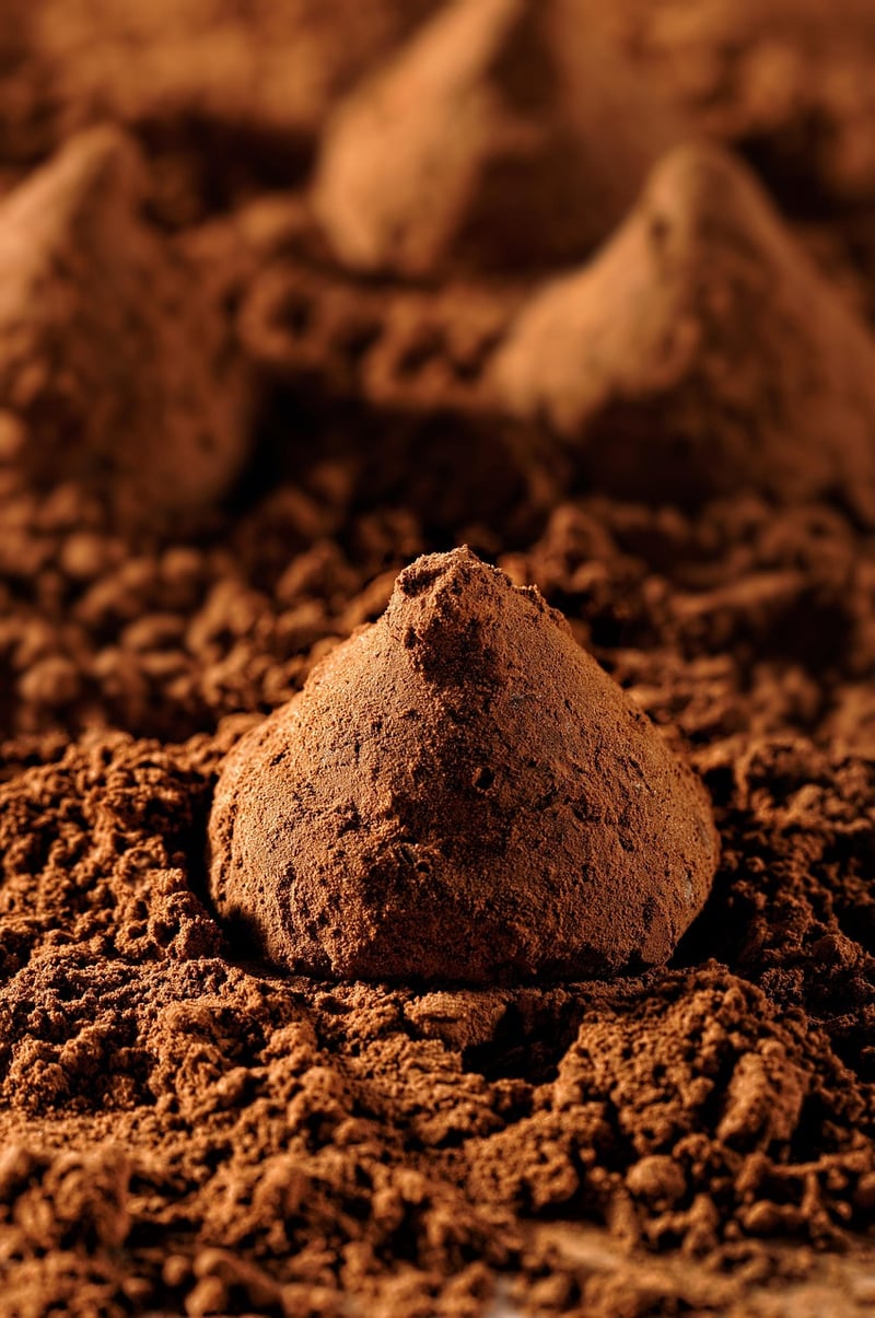 Moon Rock Truffles